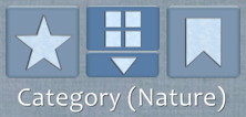 Category Button